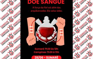 Arrecadação de Alimentos - SP