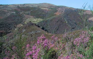 União Freguesias Quirás e Pinheiro Novo