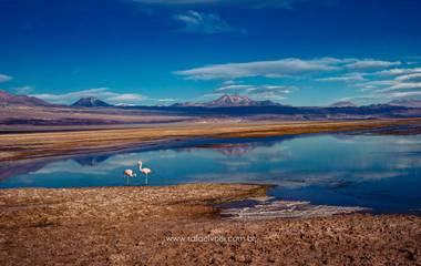 Viagem para o Atacama