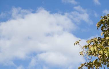 Depressão pós parto. Fique atenta!