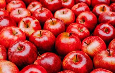 Seu filho come mal? Como fazer meu filho comer? 16 dicas que farão seu filho comer bem, veja!