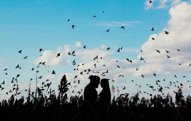 PÁSSAROS NAS FOTOGRAFIAS DO ESTÚDIO DELFI/ FOTOGRAFIA DE CASAMENTO