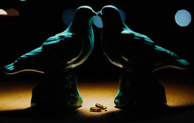 FOTOGRAFIA DE ALIANÇA/ FOTOGRAFIA DE CASAMENTO