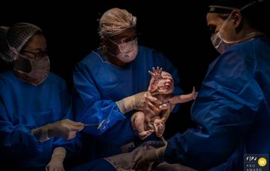 Dez fotos premiadas pela FPJA - Family Photojournalist Association®