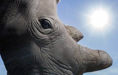 A solução também deve partir de nós