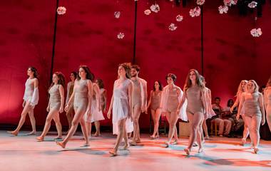 Fragilidade Humana - Momentos Rio 2018