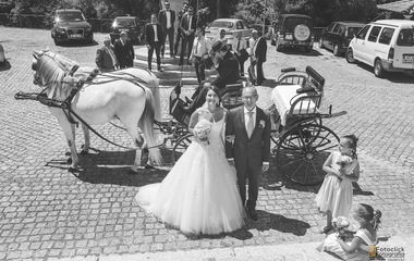 Procura um Fotógrafo de Casamento?