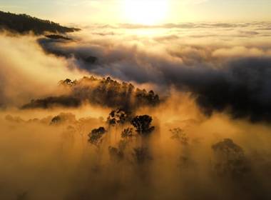 Corporativos de Pandemia Mogi das Cruzes