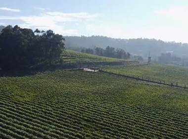 Filmes de Same day edit