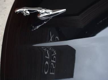 Casamento de Mini Wedding Paola e Maciel