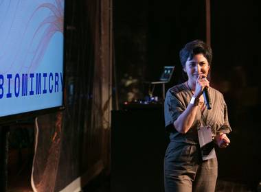 Jobs de KES - Biomimicry