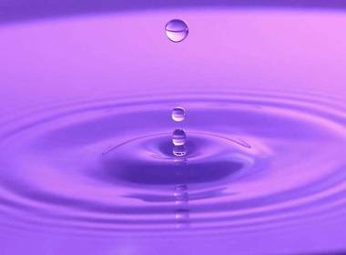 Fotos dos Alunos de Exposição dos Alunos