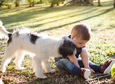 Fotografia de César & Família