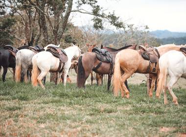 EVENTO de COMITIVA DOS PATRÕES 