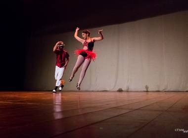 Shows e Espetáculos de Espetáculo Fusão