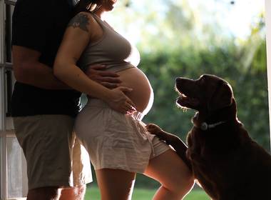 Ensaio de Ensaio Familia SurfDog