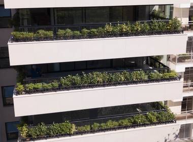 CORPORATIVO de ACOMPANHAMENTO OBRA  - COSENTINO BRASIL