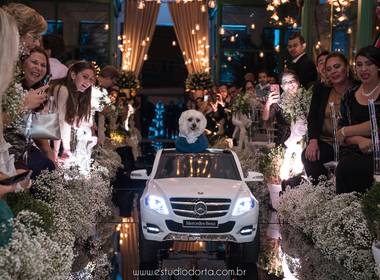 Wedding de Ana e Alexandre