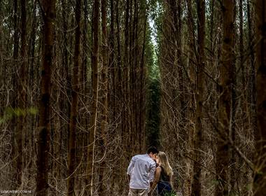 Ensaios de Laís   Dnarte