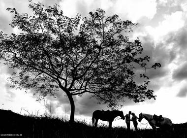 Ensaios de Juliana e José