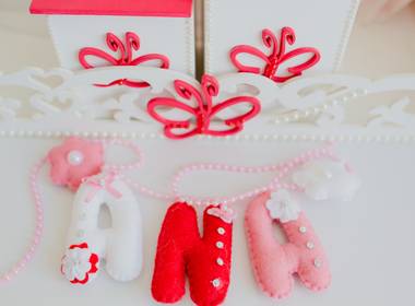 Acompanhamento de Ana - Primeiros Dias