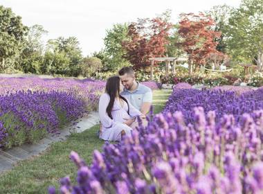 Maternity of Maternity - Thati + Gustavo