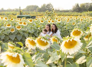 Sunflower Mini of Sunflower 2023 - Nanda, Rebeca e Olivia