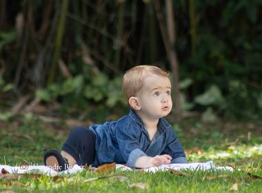 Ensaios de Ensaio Enrico