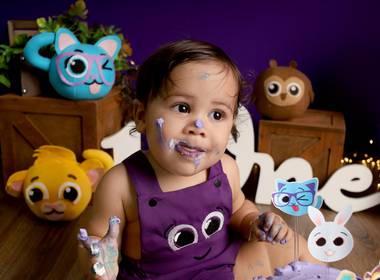 Smash the cake de Smash the cake - Bryan