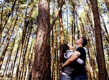 Ensaios externos de Pré Wedding - Camila & Rogério 