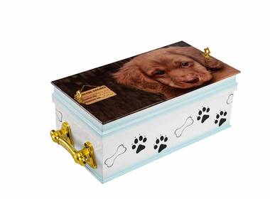 Corporativo de JR Urnas