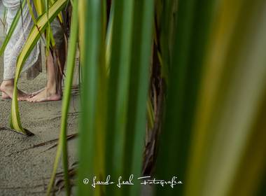 Ensaio de Joyce e Renan