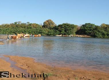 eventos festas de Festa do carro de Boi e Moagem
