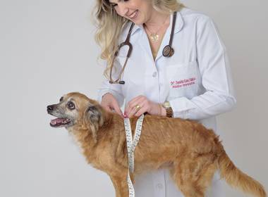 Ensaio de Marca Pessoal de Daniela Palácio - Medica Veterinária