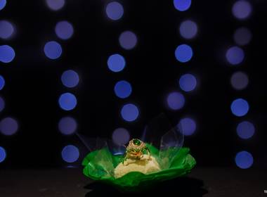 Formatura de Formatura Vanessa e Débora