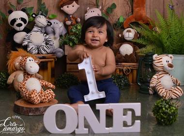 Smash the cake  de Smash the Cake Safari -Leonardo 