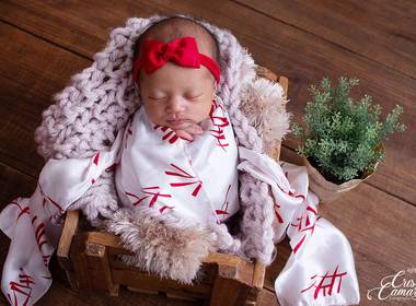 Newborn de Newborn Fernanda  20 dias  