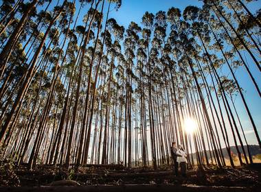 Pré Wedding de Ensaio de Casal Monte Verde MG | Anna + Felipe