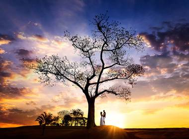 Pré Wedding de Ensaio de Casal Parque Ecológico | Campinas SP | Nathalia + Daniel