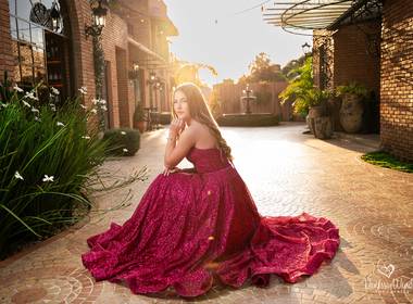 15 anos de Lívia Charnei {15 anos}