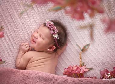 Cegonha de Andressa + Matheus = Lívia  { Cegonha }