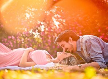 Cegonha de {Gestação e Newborn} Helena