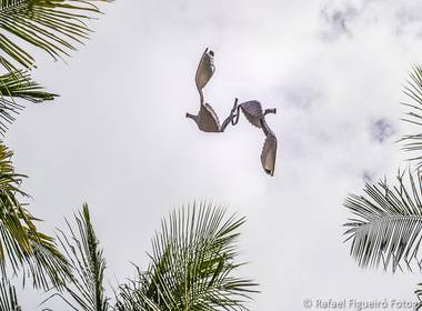 Wedding de Beach Wedding Vagna+Rodrigo
