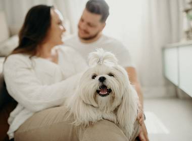 Pré Wedding de Natália e Alex