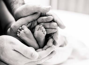 Família de Primeiros retratos de Clara