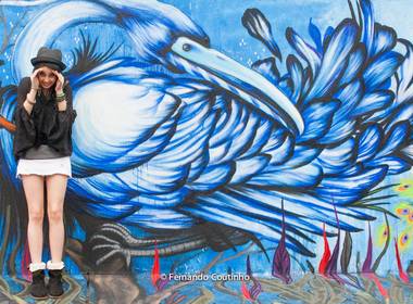 Aniversário de 15 anos - A festa de Ensaio fotográfico 15 anos - Giovanna