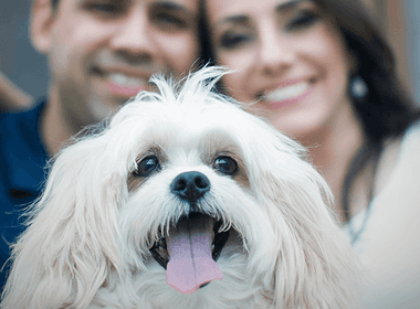 Pré Wedding de Pré Wedding de Izabella e Thiago