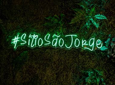 Casamento de Casamento Flávia e Davi 