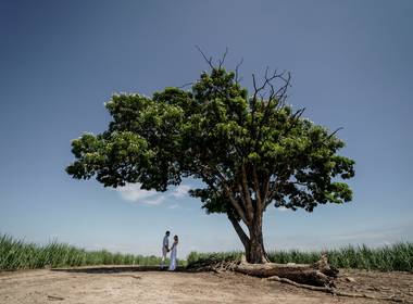 Família de Ensaio pré wedding Raphaela e Marcelo