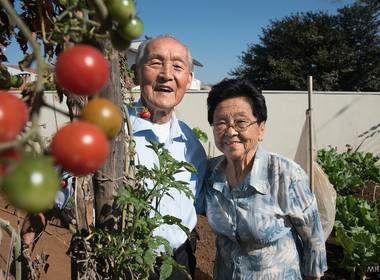 Pre Wedding de Ensaio Kazuyoshi e Yonemy Kague